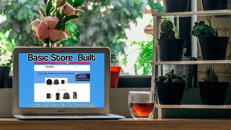 Done For You Basic Store Built